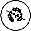 anti 1
